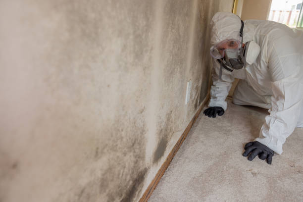 Carpet water damage restoration